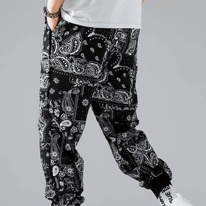 Men Random Floral & Paisley Print Drawstring Pants